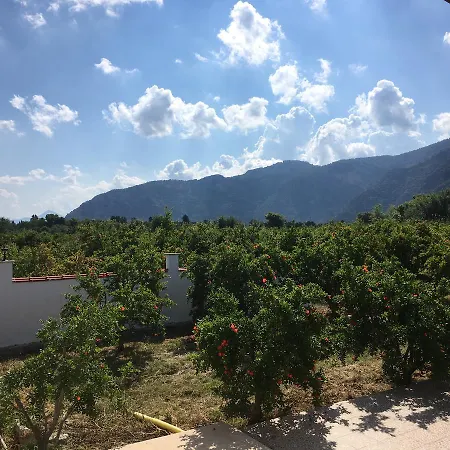 فيلة Pomegranate Garden *